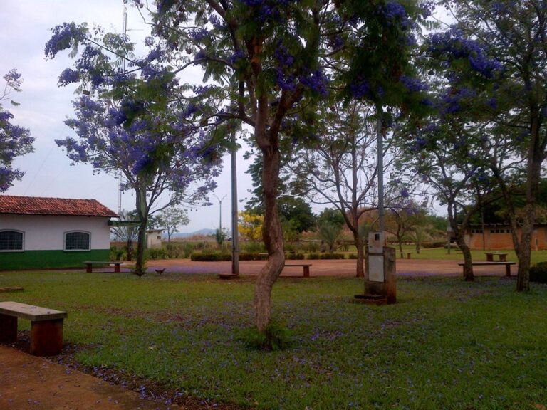 461534135_7554862617950157_9023218563775299921_n