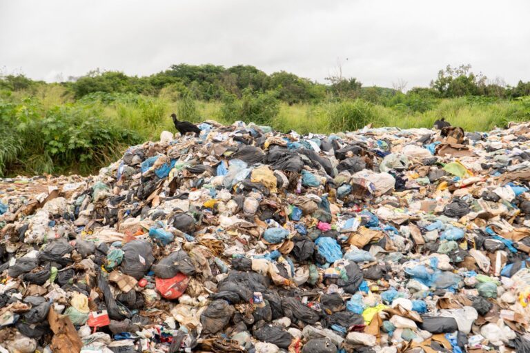 9ca7ec49-dd52-4996-846c-1bf77623ec34