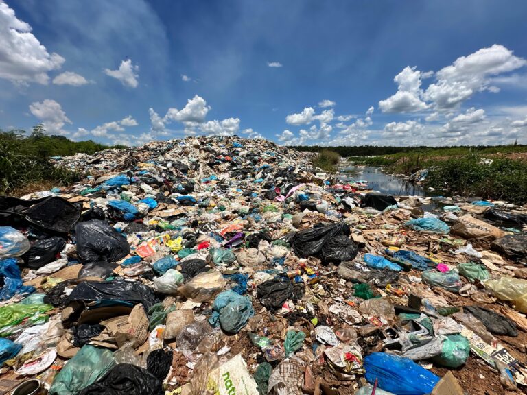 WhatsApp Image 2025-02-04 at 19.44.48 (1)