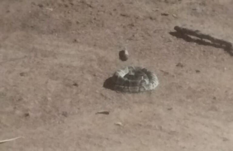 WhatsApp Image 2025-02-06 at 23.04.41