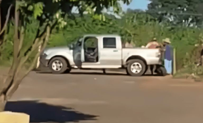 Captura de tela 2025-03-11 141656 (1)