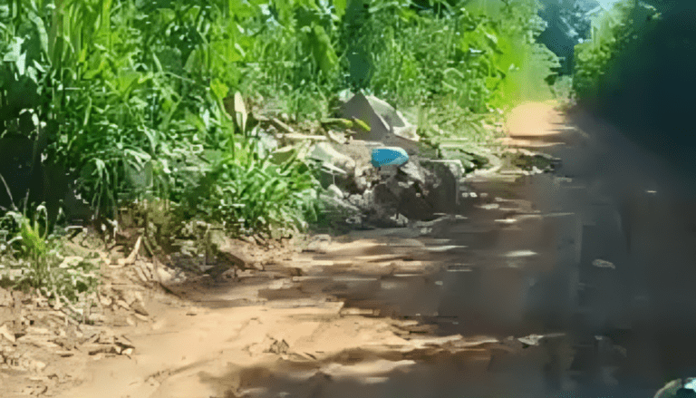 Captura de tela 2025-03-21 080116 (1)