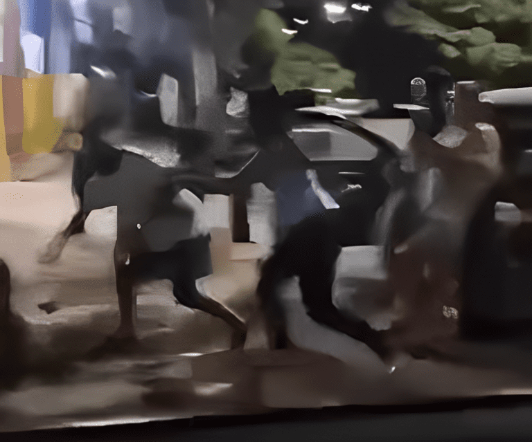 Captura de tela 2025-03-23 092758 (1)