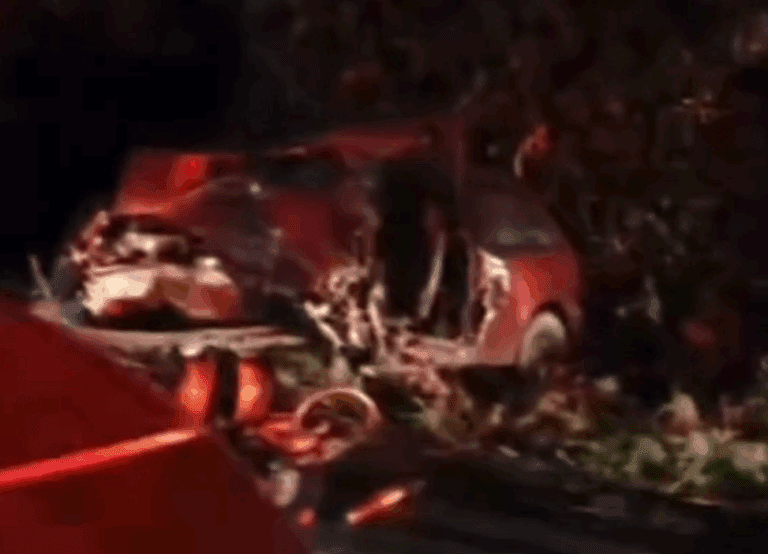 Captura de tela 2025-05-17 111837