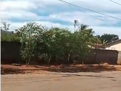 Captura de tela 2025-05-27 201802