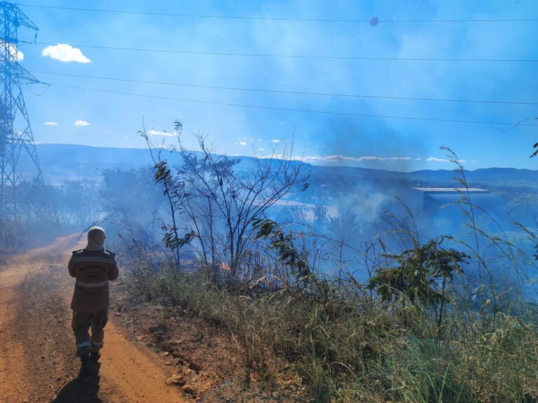 WhatsApp Image 2025-05-16 at 18.17.58