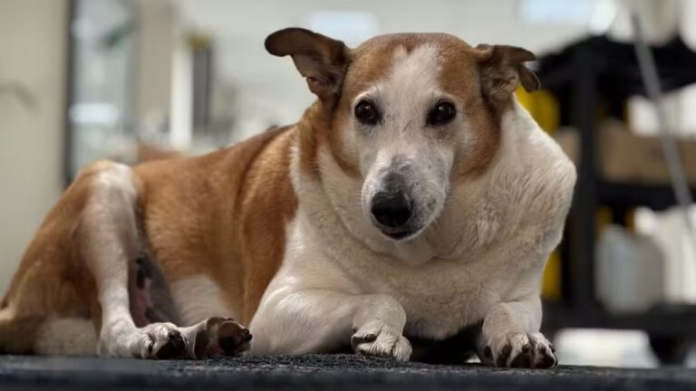 WhatsApp Image 2025-05-20 at 22.44.06