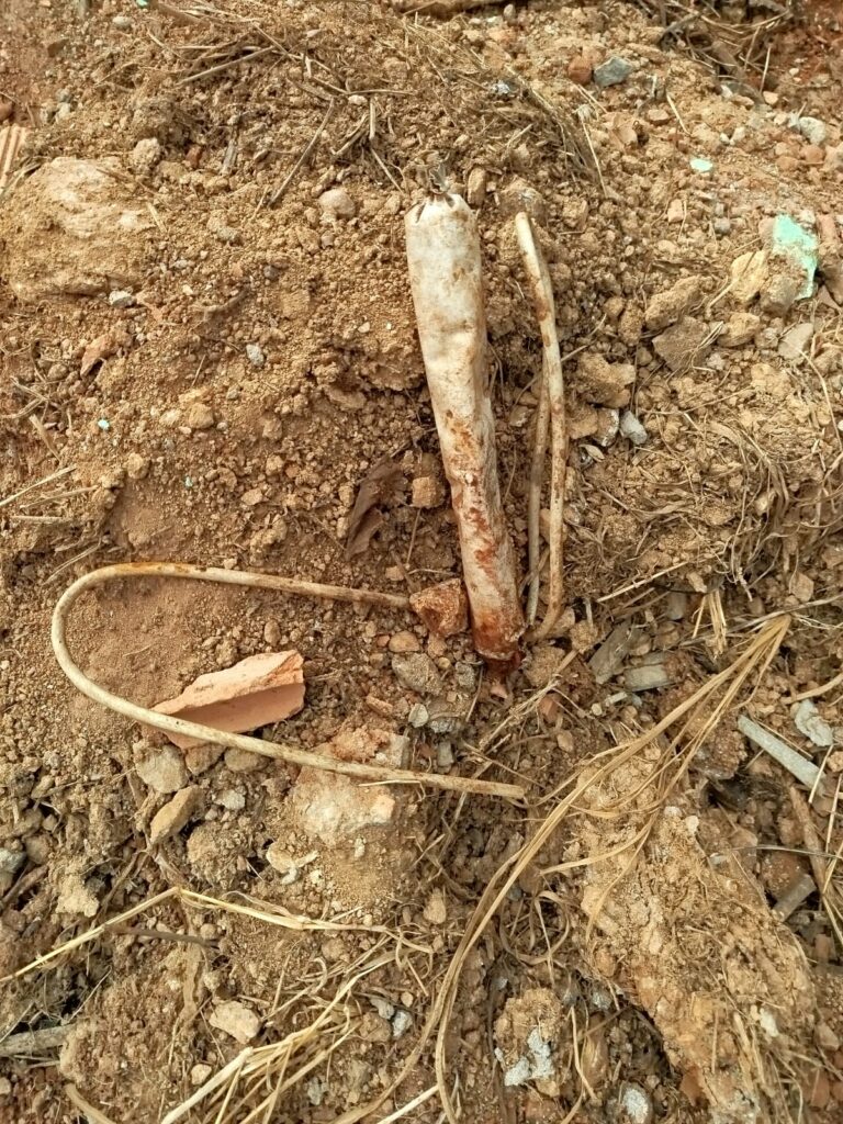 WhatsApp Image 2025-05-23 at 14.01.46