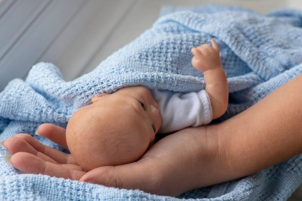 bebe-reborn-1