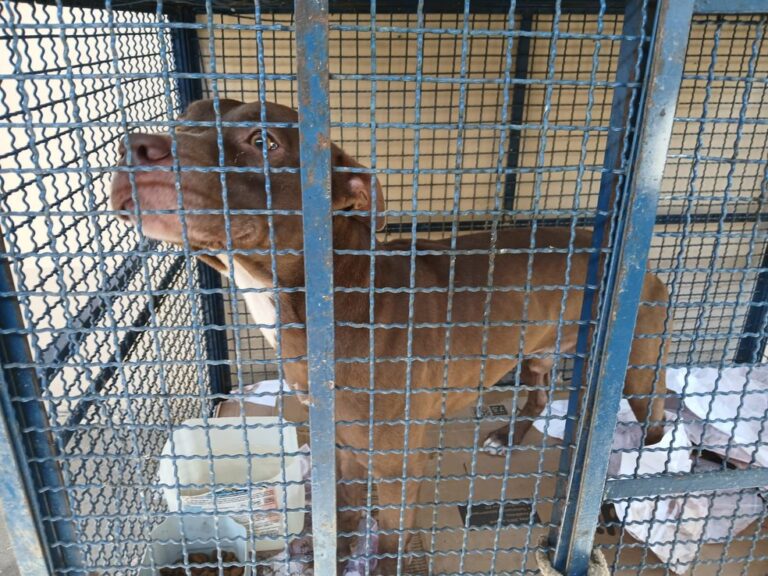 whatsapp-image-2025-05-22-at-12.34.45