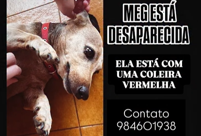 Captura de tela 2025-06-30 155727