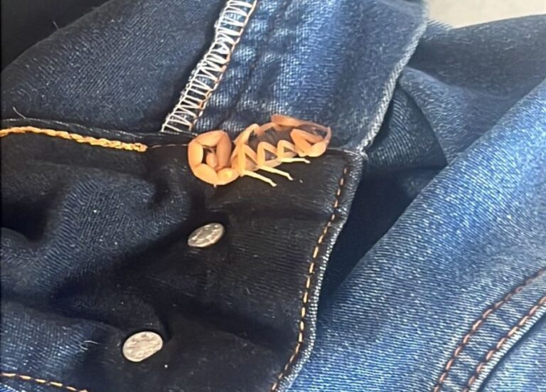 WhatsApp Image 2025-06-12 at 08.23.26