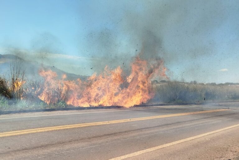 WhatsApp Image 2025-06-21 at 16.47.35