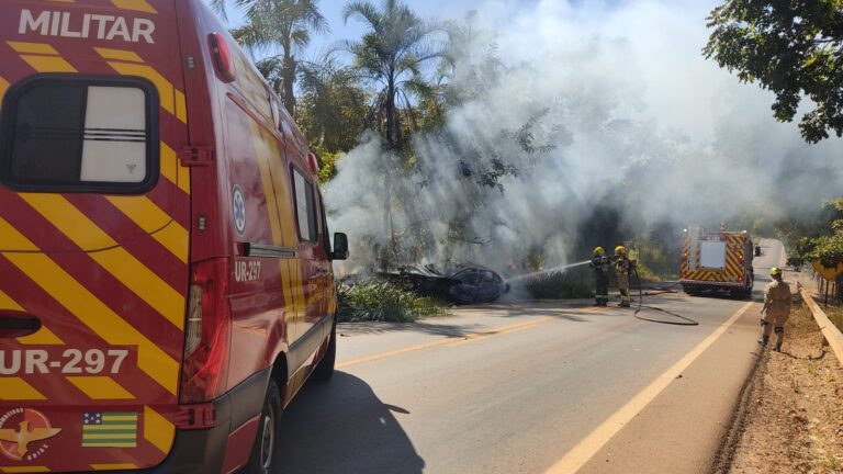 WhatsApp Image 2025-07-06 at 15.31.46