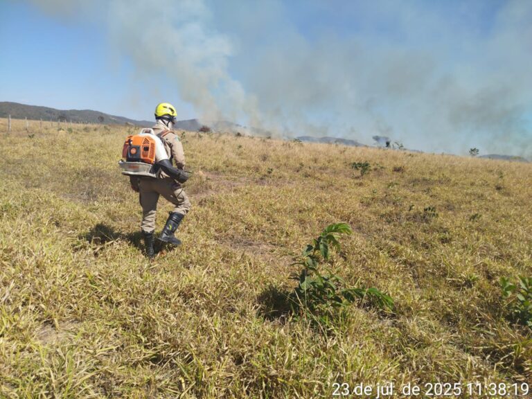 WhatsApp Image 2025-07-23 at 15.51.30 (1)