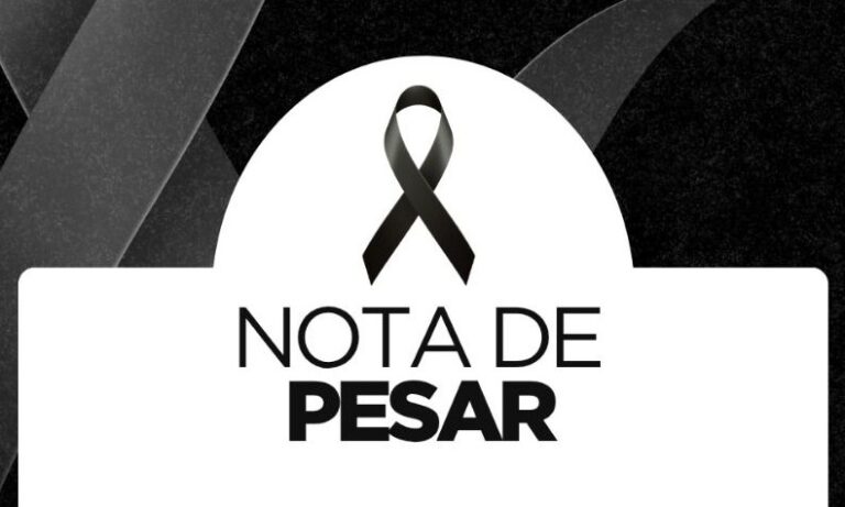 WhatsApp Image 2025-07-31 at 14.54.37gg