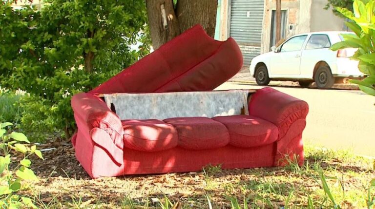 WhatsApp Image 2025-07-31 at 14.57.28