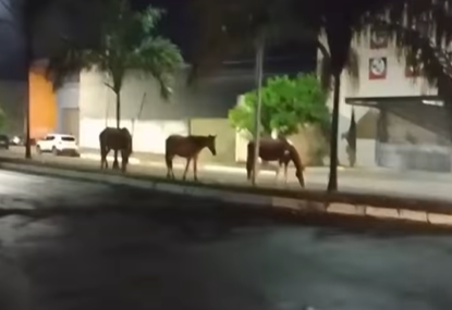 Captura de tela 2025-08-11 222051