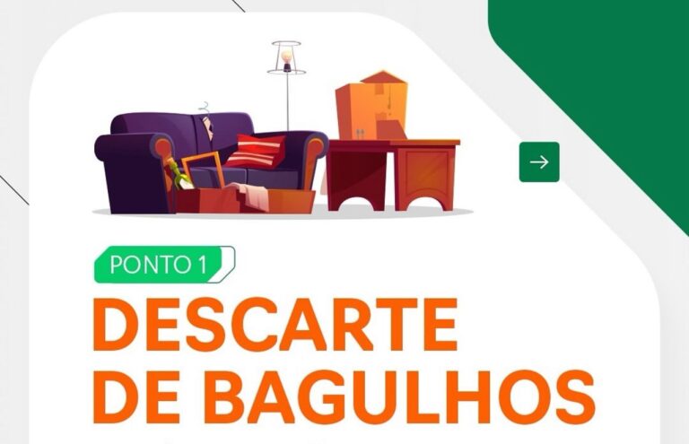 WhatsApp Image 2025-08-11 at 10.31.33