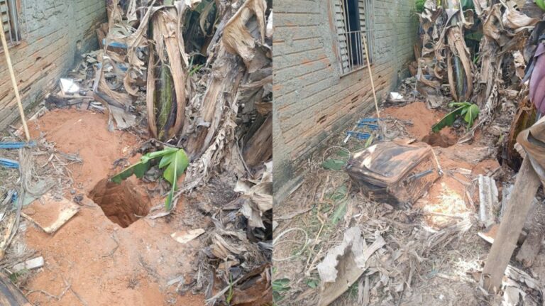 33b95d0f-fadb-4c59-bea6-eee682221af0-e1757181427831