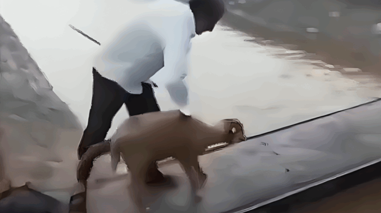 Captura de tela 2025-09-12 080352 (1)