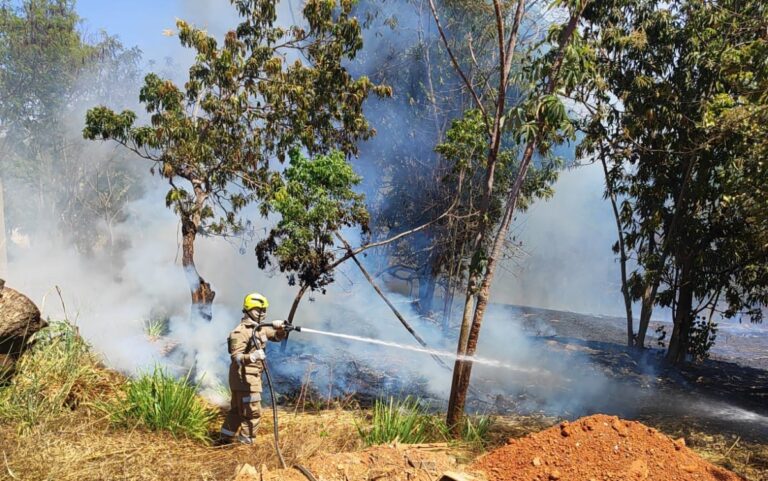 WhatsApp Image 2025-09-01 at 14.38.18