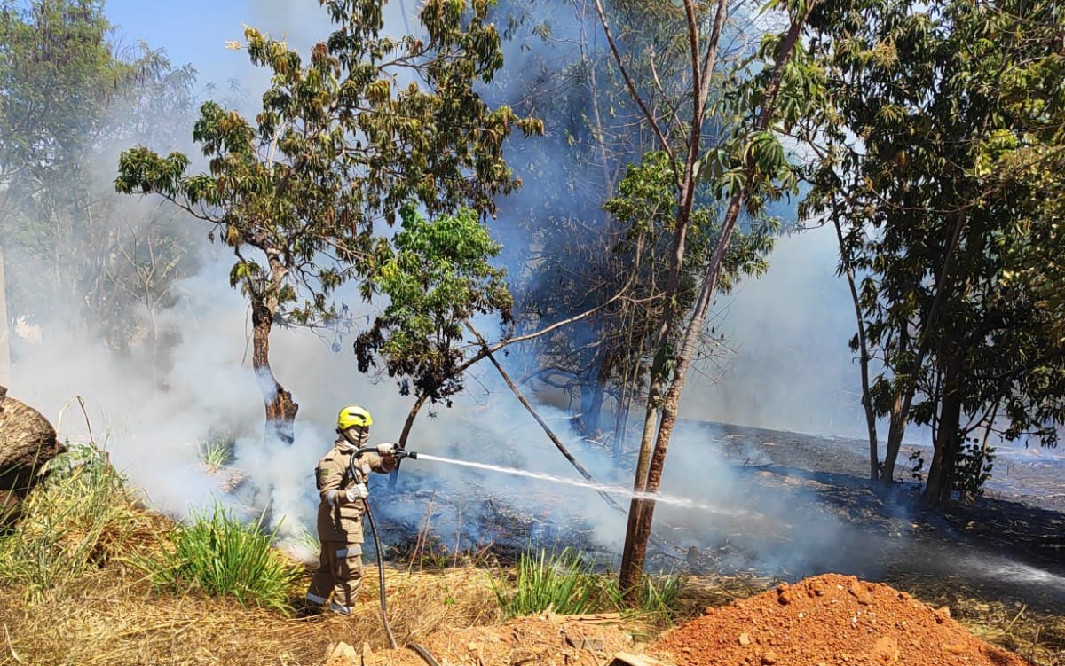 WhatsApp Image 2025-09-01 at 14.38.18