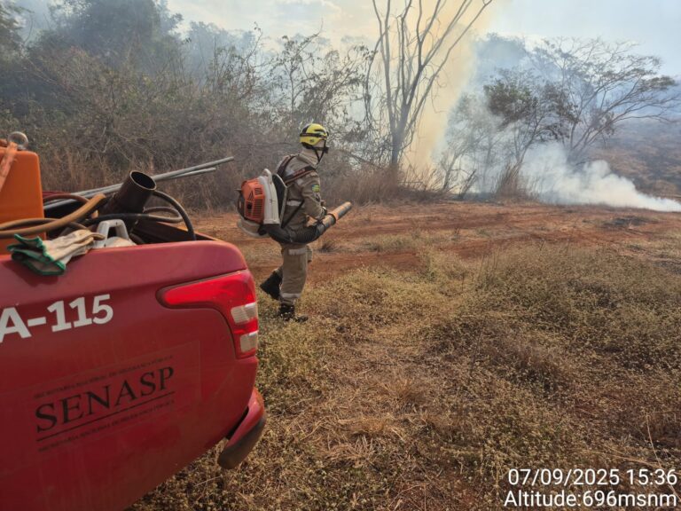 WhatsApp Image 2025-09-07 at 18.19.18