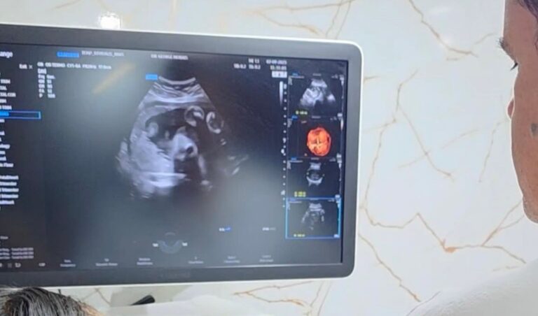 WhatsApp Image 2025-09-18 at 22.17.12 (1)