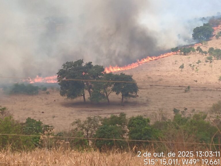 WhatsApp Image 2025-10-03 at 07.11.54