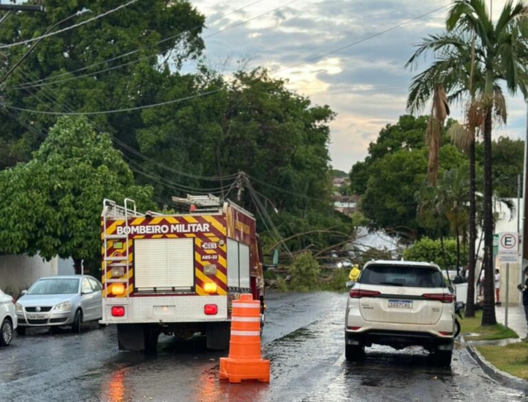 WhatsApp Image 2025-10-14 at 18.37.34