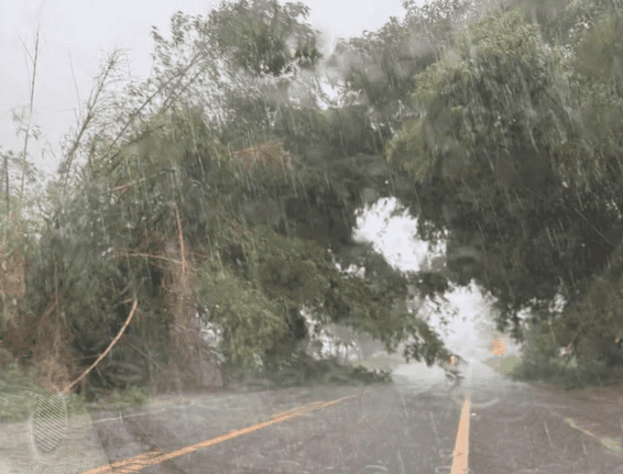 Captura de tela 2025-11-17 185413