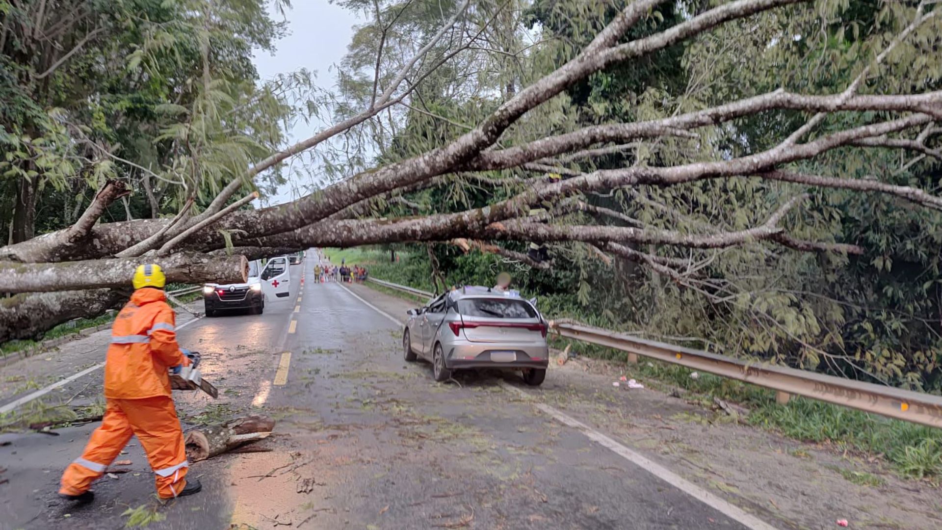 718912-20251231-003851-e0c397