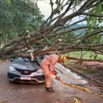 WhatsApp Image 2025-11-30 at 21.38.15