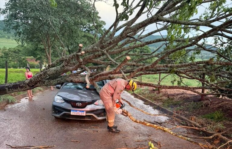 WhatsApp Image 2025-11-30 at 21.38.15