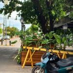 wmremove-transformed