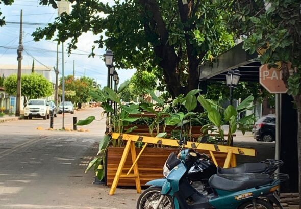 wmremove-transformed