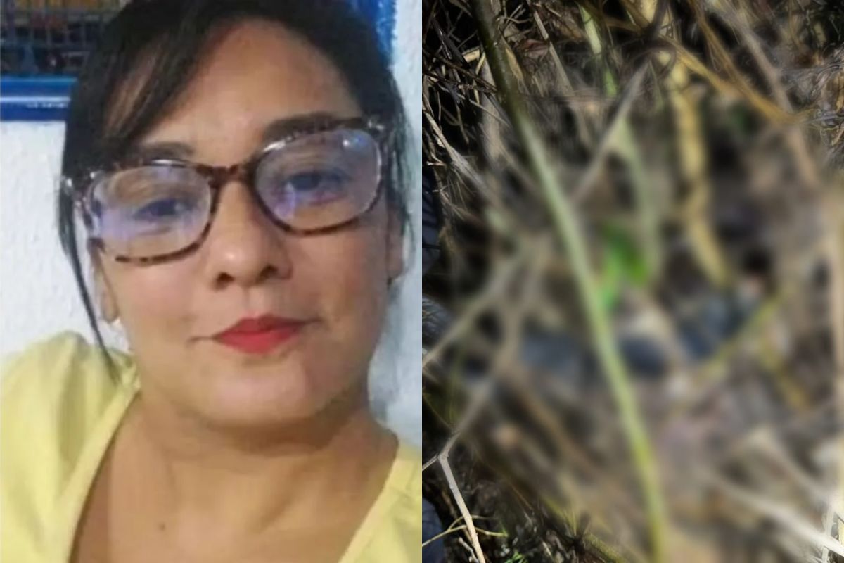 733947-20260128-110041-f4b5ae