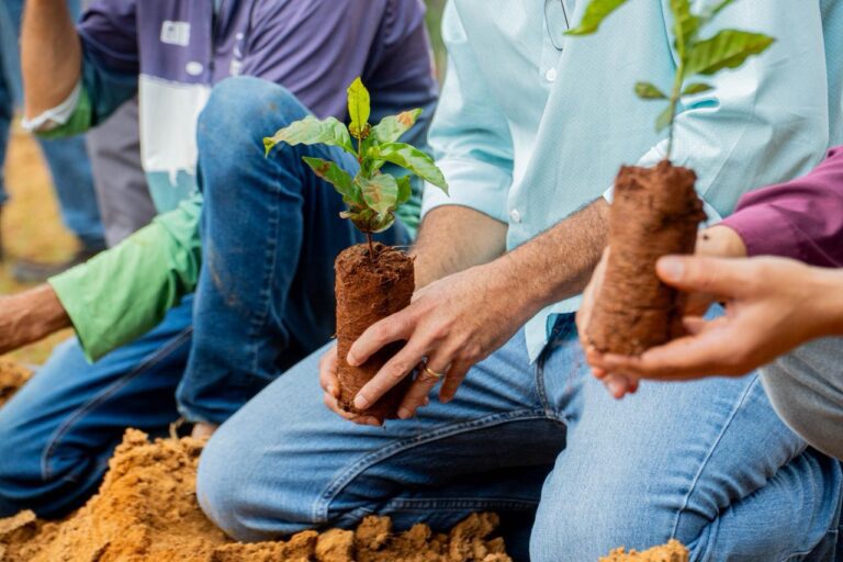 WhatsApp Image 2026-01-30 at 19.07.46