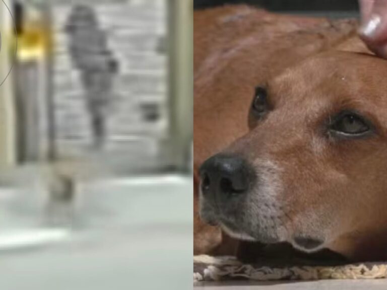 756042-20260316-154225-508085