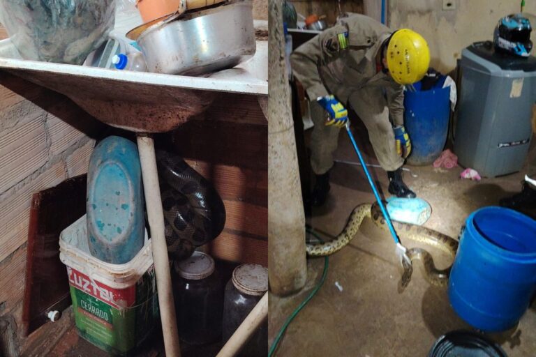 756832-20260317-233751-f02949