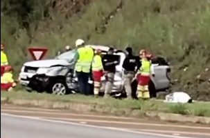 elienai-1774105073732