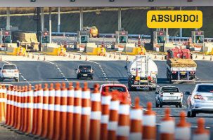 elienai-1774110857294