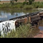 elienai-1774128283576