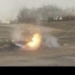 elienai-1774128377243