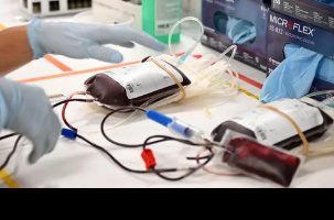 elienai-1774190344565