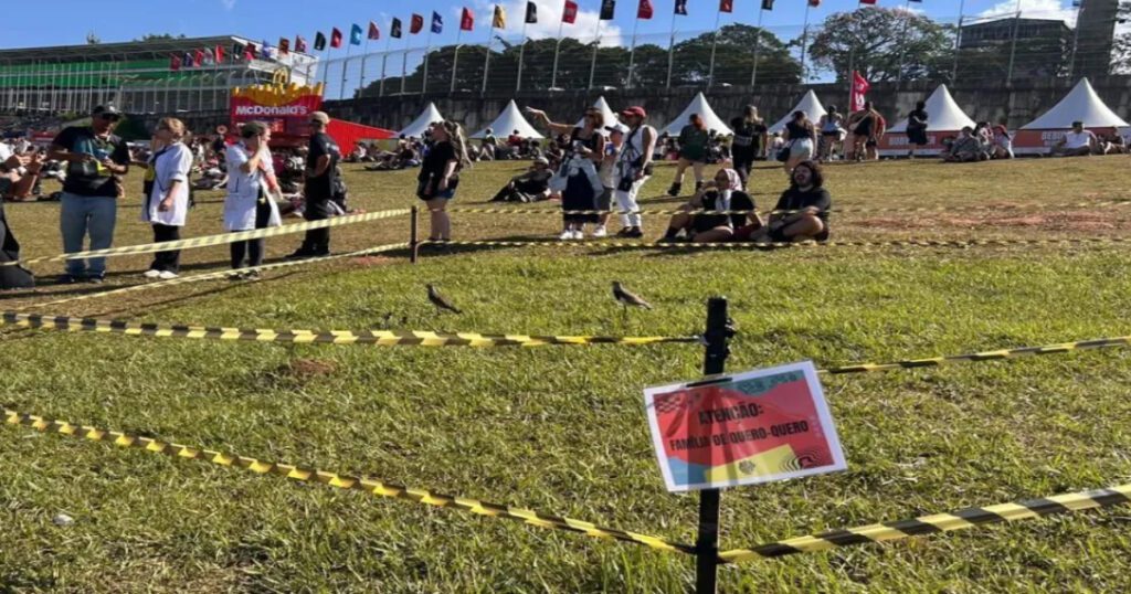 elienai-1774221078828