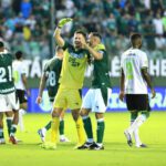 elienai-1774222089750