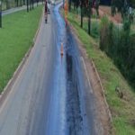 elienai-1774267311790