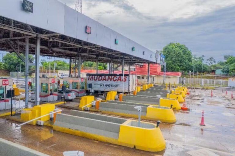 elienai-1774268539434